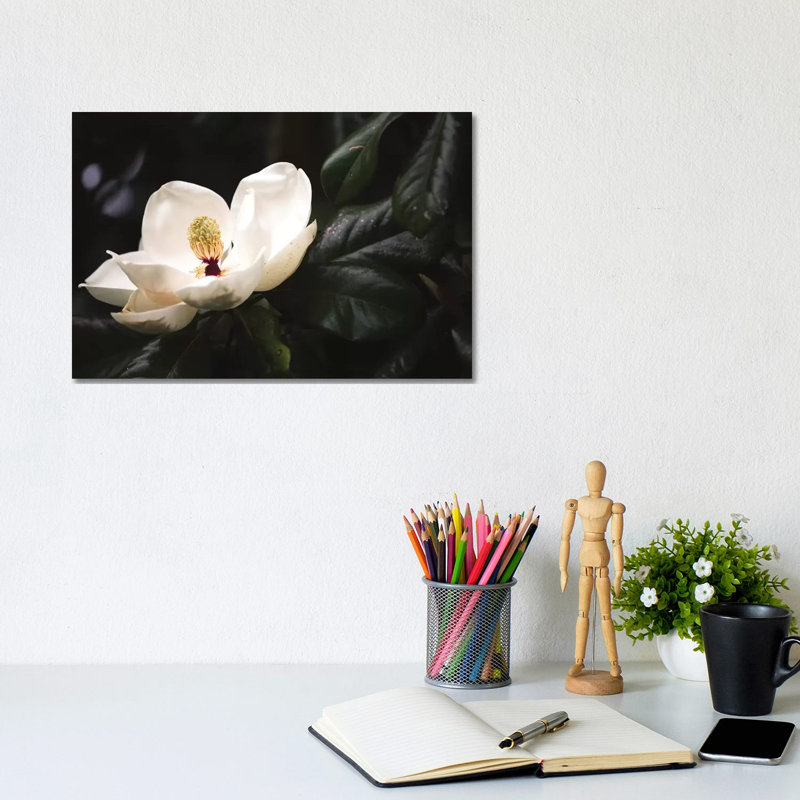 Magnolia I by Ann Hudec - Wrapped Canvas Print, 20.32 cm H x 30.48 cm W