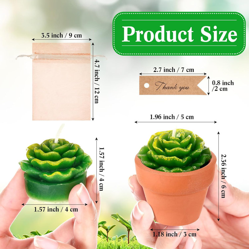 48 petites bougies de cactus succulentes avec pots en terre cuite 48 pièces