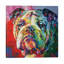 Bulldog 1 Piece Wrapped Canvas Painting-38754202