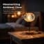 Wood Desk Lamp-1586691984
