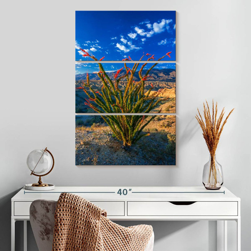 Harnek Ocotillo In Anza Borrego, 32'' H x 20'' W
