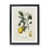 Black Framed Paper is unavailable