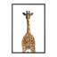 Art girafe bout à bout-49839928-49839927