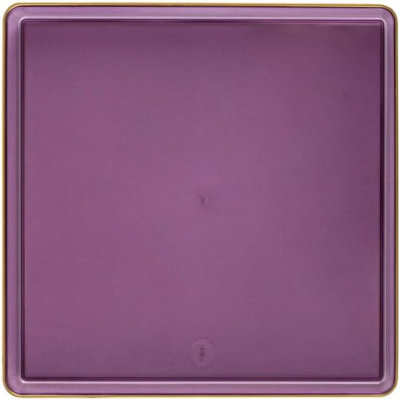 Disposable Dinner Plate