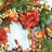 24" Fall Front Door Thanksgiving Day Harvest Pumpkin Wreath