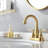 Centerset 2-handle Bathroom Faucet with Drain Assembly-70781050