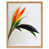 Light Brown Framed Unframed is out of stock