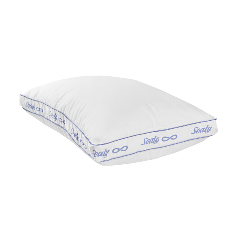 Ensemble de 1 coussin décoratif Sealy, Grand