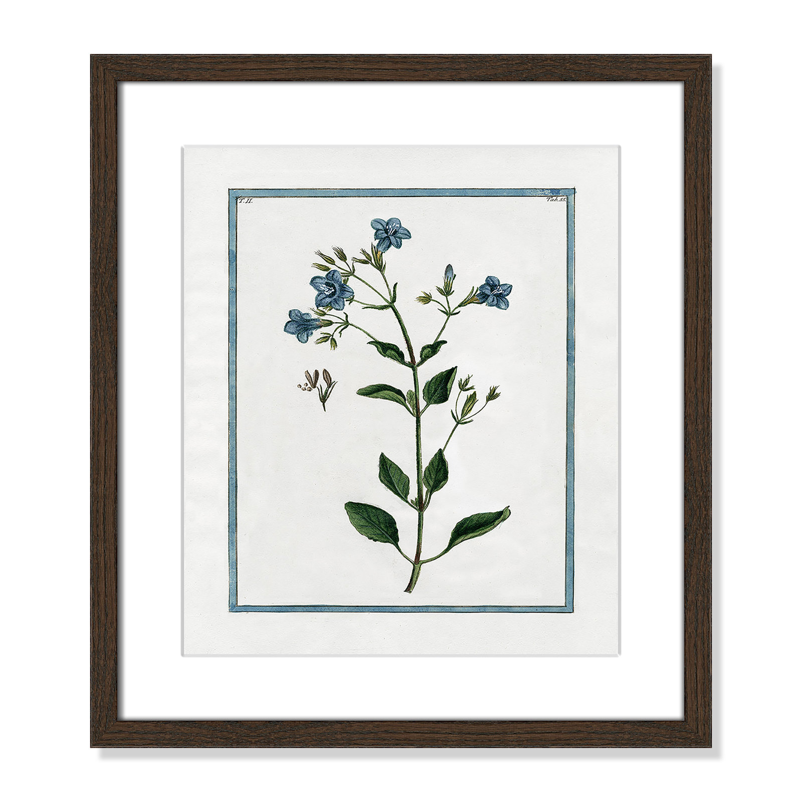 Colombe "Shabby Elegance Botanical II" Print, 13" W x 15" H, Walnut Framed