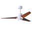 LED Downrod Ceiling Fan-287126883-291225117-364720243