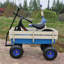 Chariot de jardin pour l'extérieur-117354038-117354037