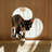 Simple and Creative Cat Climbing Frame