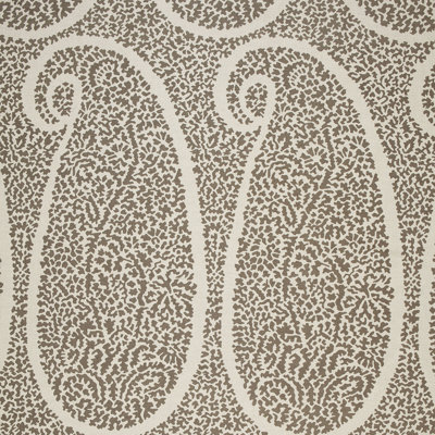 Ambala Paisley Fabric