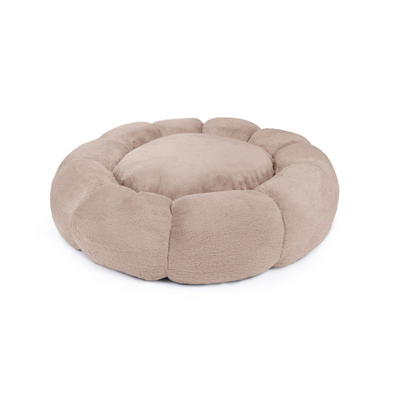 Lit pour chien Tucker Murphy Pet ™ Daisy, H 4 po x l 36 po x P 36 po, Brun clair