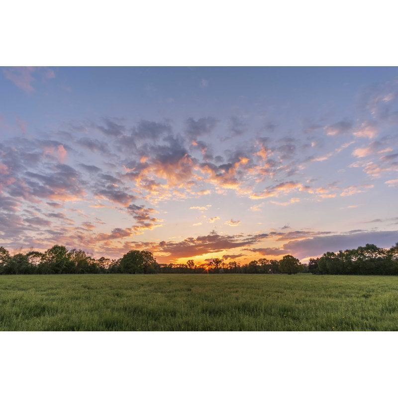 «Evening Sky With Meadow» par Sebastian Sonnen - photographie sur toile tendue, H 24 po x l 36 po