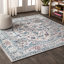 Tapis gris clair / bleu Lawrence Hill-1646053142