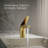 Avid Single-Handle Bathroom Sink Faucet-93511057