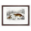 Platypus Illustration by Charles d' Orbigny - Picture Frame Painting Print-55601111-55601112
