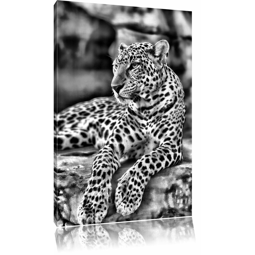 Leinwandbild Majestätischer Leopard in Monochrom