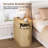 Narrow Fluted End Table with Charging Station & Sliding Curved Door-951752687