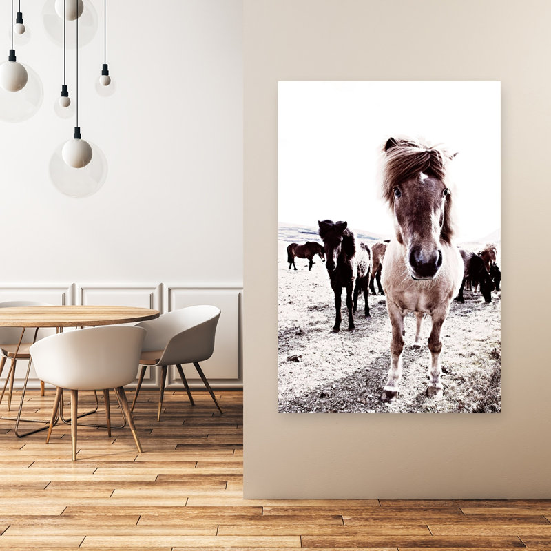 Islande, cheval, Rikka, art contemporain cheval