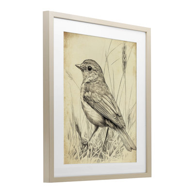 Petit oiseau rétro, reproduction sous verre encadrée, design par Petal Prints Design