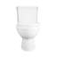 Toilette de coin 2 pièces WaterSense