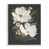 Giclée encadrée blanc bord de mer