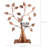 Breezy 48-Pair Jewelry Storage Display Stand