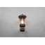Evelore Outdoor Armed Sconce