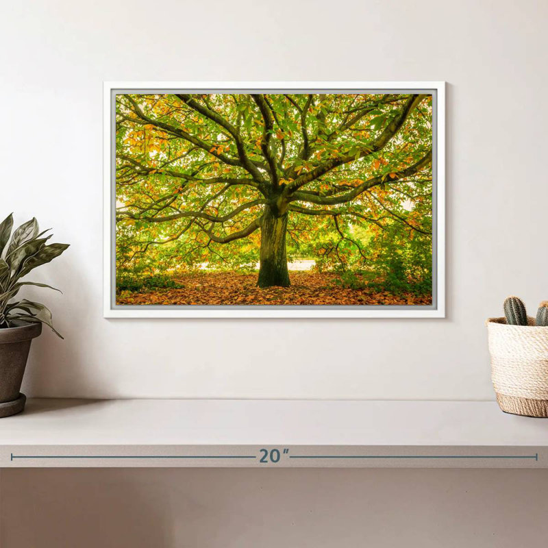 Chêne de Londres, Cadre flottant blanc, 13 po x 9 po