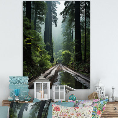 " USA Jedediah Smith Redwoods Forest "