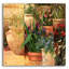 «Flower Pots Left» par Art Fronckowiak - reproduction non encadrée-17919212