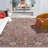 Crimson Performance Oriental Rug-839345115