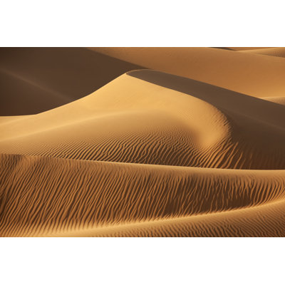 Josiyah Desert Sand Dunes by Rosafrei - Wrapped Canvas Photograph