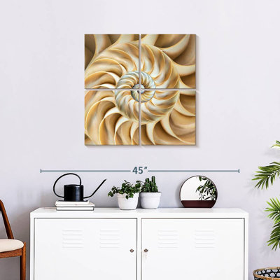 Aletra Nautilus Symmetry