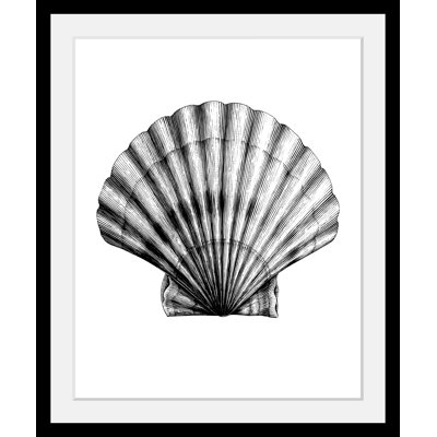Shell - Single Picture Frame Print