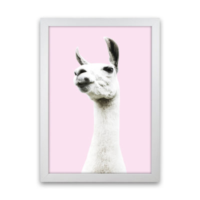 Pink Llama by Victoria Frost - Print