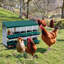 Egg Boxes & Baskets-863886167-863886163