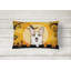  Coussin intérieur / extérieur Halloween en tissu Corgi-31803963