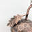Brettney Metal Hanging Decorative Bird Feeder