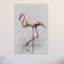 Flamingo Splash 1 Piece Wrapped Canvas Painting-2122076908
