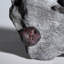 Garnet In Graphite From Erving, Franklin County, Massachusetts