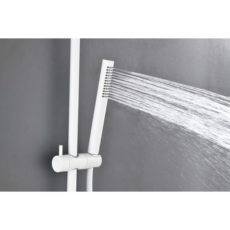 Barre coulissante de pomme de douche en acier inoxydable avec boyau de 69 pouces et portatif - Fabrication robuste et polyvalente