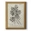 Toile encadrée de qualité supérieure antique noir et blanc botanique I - prête à être accrochée-492285419