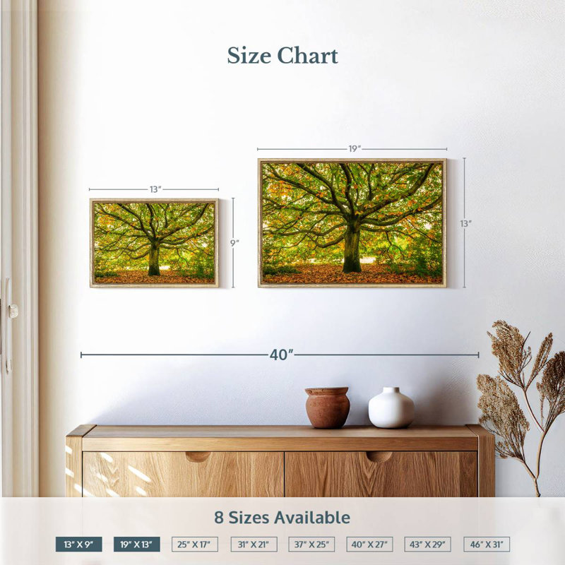 Chêne de Londres, Cadre flottant en bois naturel, 19 po x 13 po