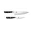 Miyabi Evolution 2-Pc Must Have Knife Set