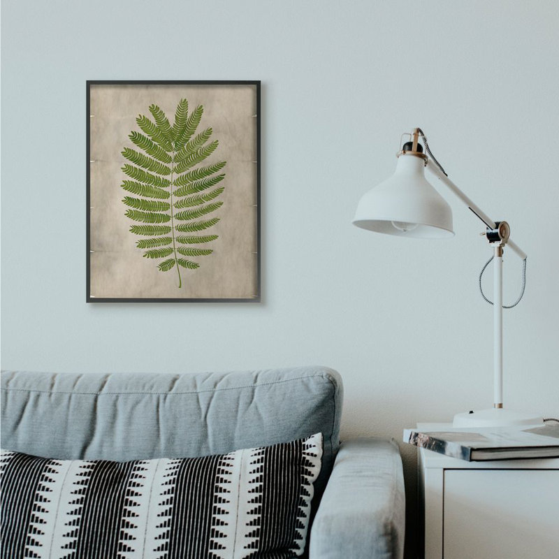 « plante parchemin green », impression, H 24 po x l 30 po, Giclée encadrée noir minuit