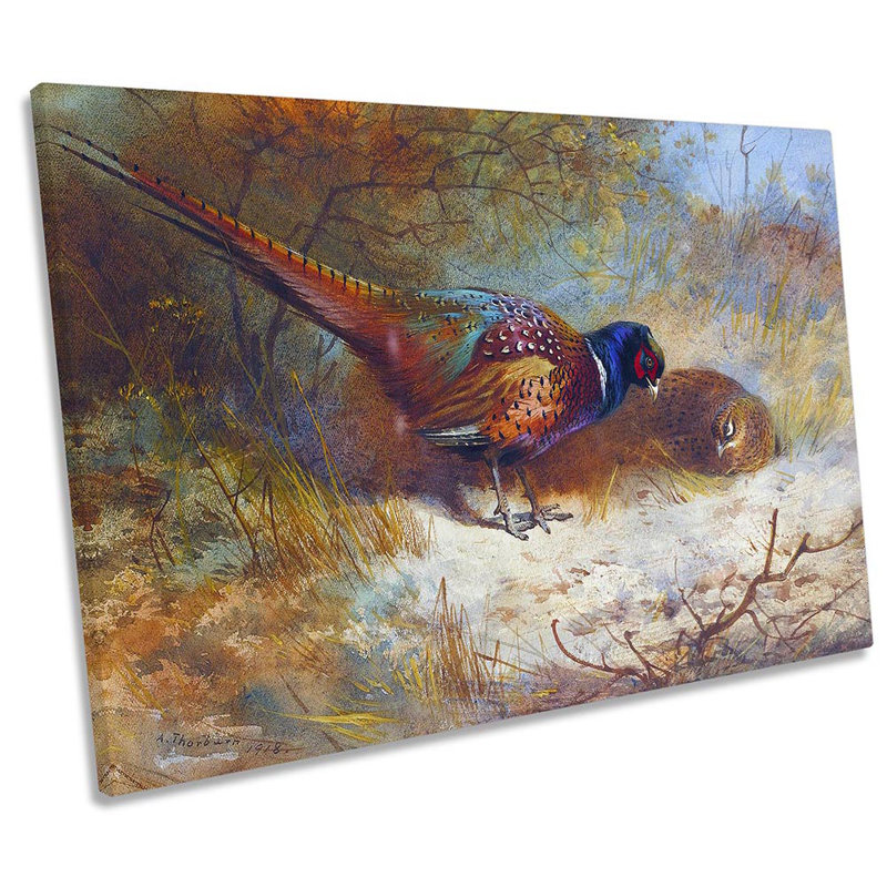 Archibald Thorburn Pheasants by Archibald Thorburn - Wrapped Canvas Print, 61cm H x 91.4cm W x 4cm D