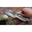GS Steak Knife, Set of 4